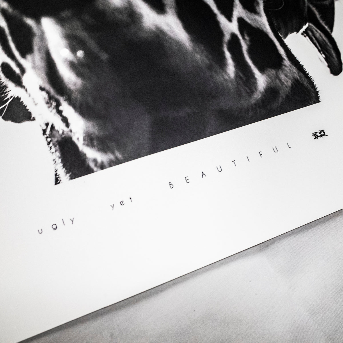 A2ポスター】ugly yet beautiful (limited 100) – Shasatsu.com