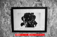 【A2ポスター】ugly yet beautiful (limited 100)